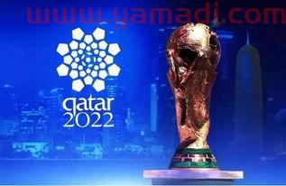 2022年卡塔尔世界杯几支球队参赛