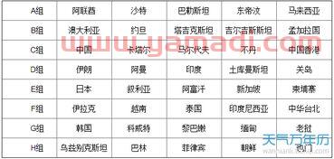 亚洲区世界杯预选赛积分榜