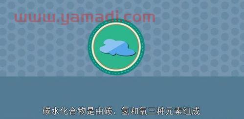 2021欧洲杯目前战绩如何