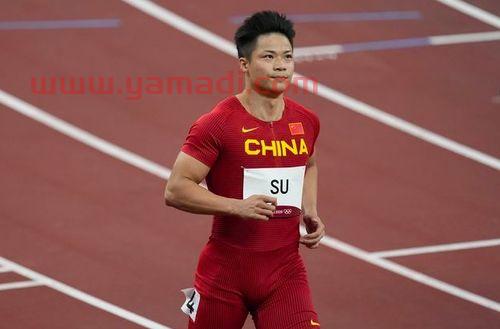 苏炳添哪里人