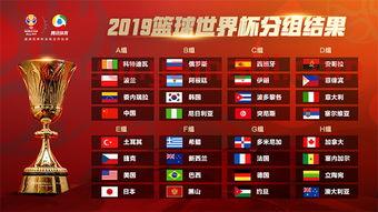 2014年世界杯男篮分组表