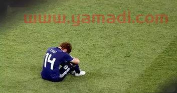 2022年日本世界杯球员
