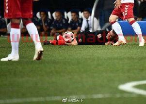 2018世界杯8强名单