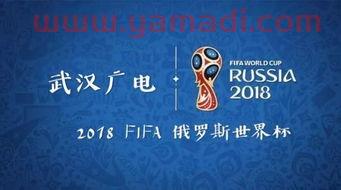 2022年卡塔尔世界杯预选赛中国队成绩