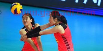 中国女排朱婷继承人（中国女排朱婷继承人简介）