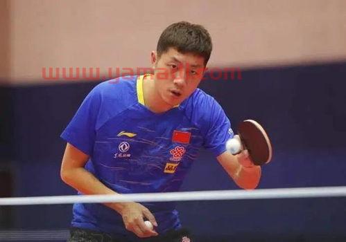 明天奥运会乒乓球赛程(明天奥运会乒乓球赛程时间表) 明天奥运会乒乓球赛程(明天奥运会乒乓球赛程时间表)