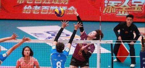 现中国女排队员身高(现在中国女排队员身高) 现中国女排队员身高(现在中国女排队员身高)