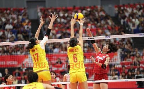 昨晚中国女排完胜日本队（中国女排胜日本视频回放）