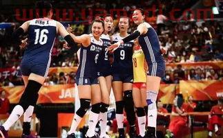 中国女排荷兰六强赛录像（女排中国荷兰）