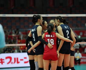 外媒中国女排大胜美国（中国女排完胜美国）