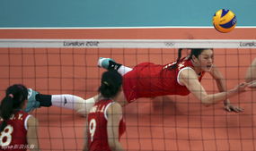 中国女排塞尔维亚小组赛（中国女排打塞尔维亚参赛人员）