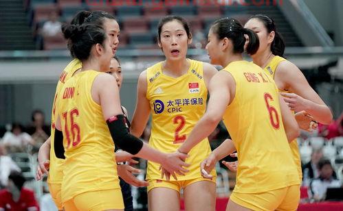 中国女排队员陈梦简历年龄（女运动员陈梦）