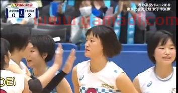 中国女排队员归化日本（中国女排入籍日本）