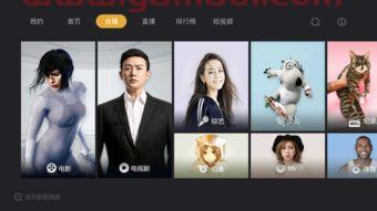 中央***5直播在线观看