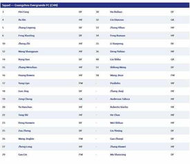 广州恒大亚冠视频锦集(广州恒大亚冠2020阵容)
