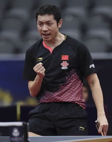 二O一九卡塔乐乒乓球赛程(2021乒乓球卡塔尔公开赛直播时间)
