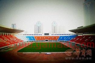 国足未来主场球场有多大(国足预选赛主场场地)